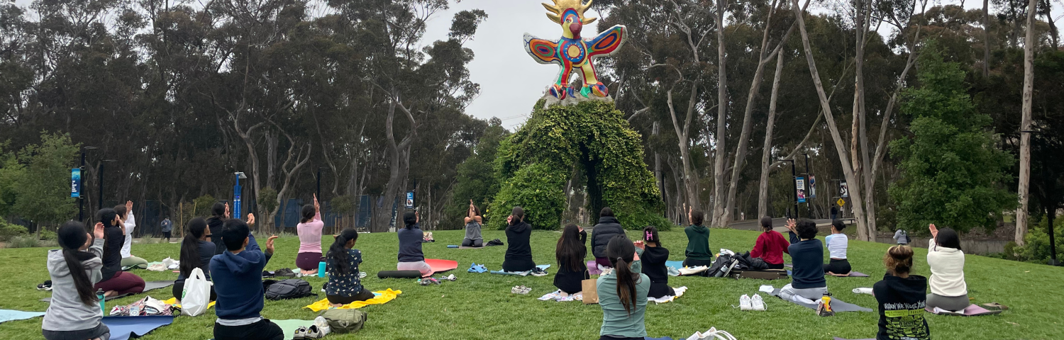 1 of 2, Group yoga on the grass.